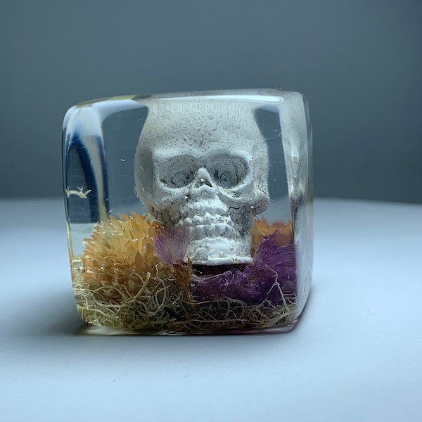 Spooky Halloween Skeleton Skull with real Flowers and Moss Preserved in a Resin Square cube terrarium small world