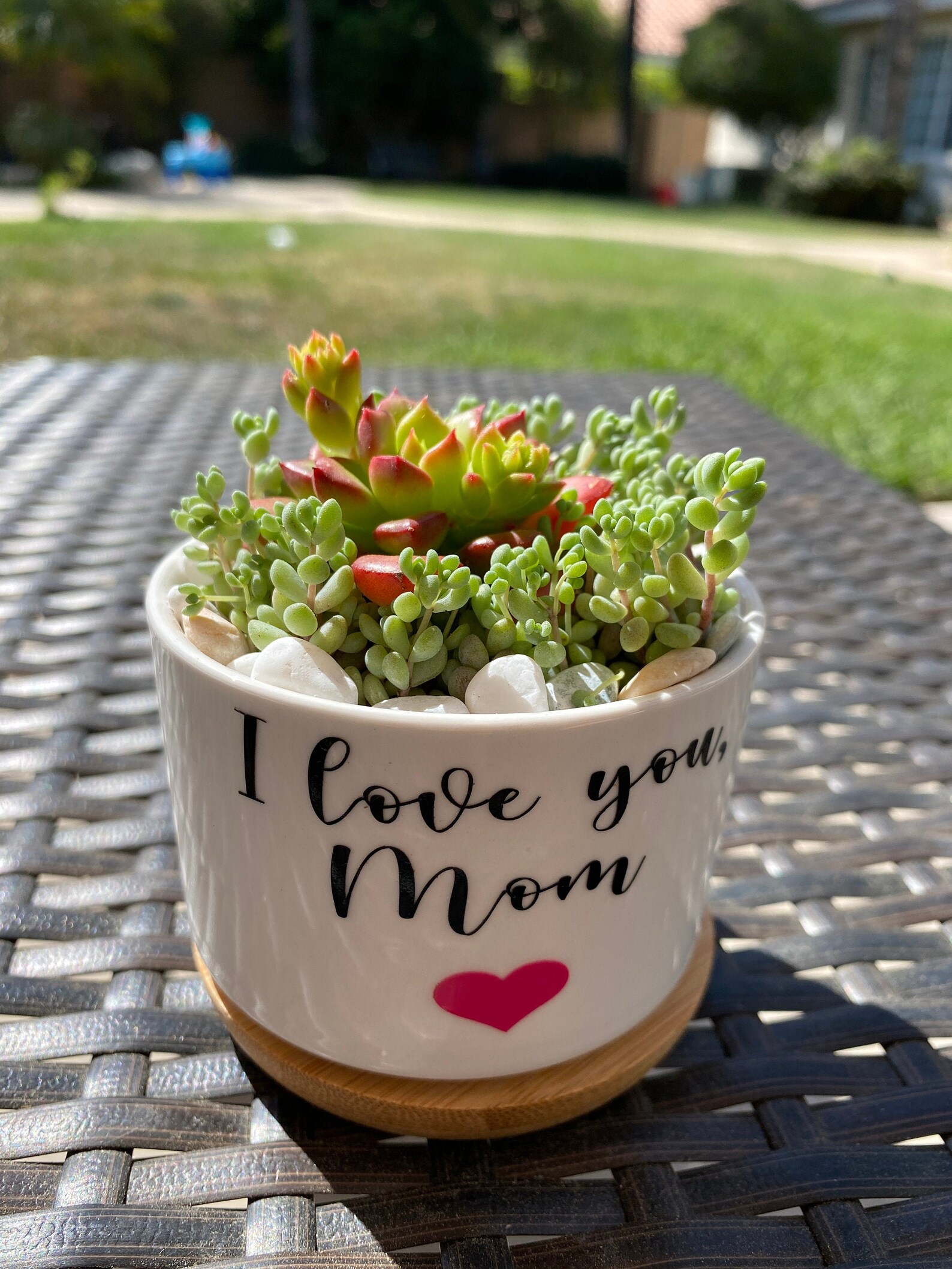 Mother's Day Gift I Love You Mom Plant Mom Gift Live Etsy