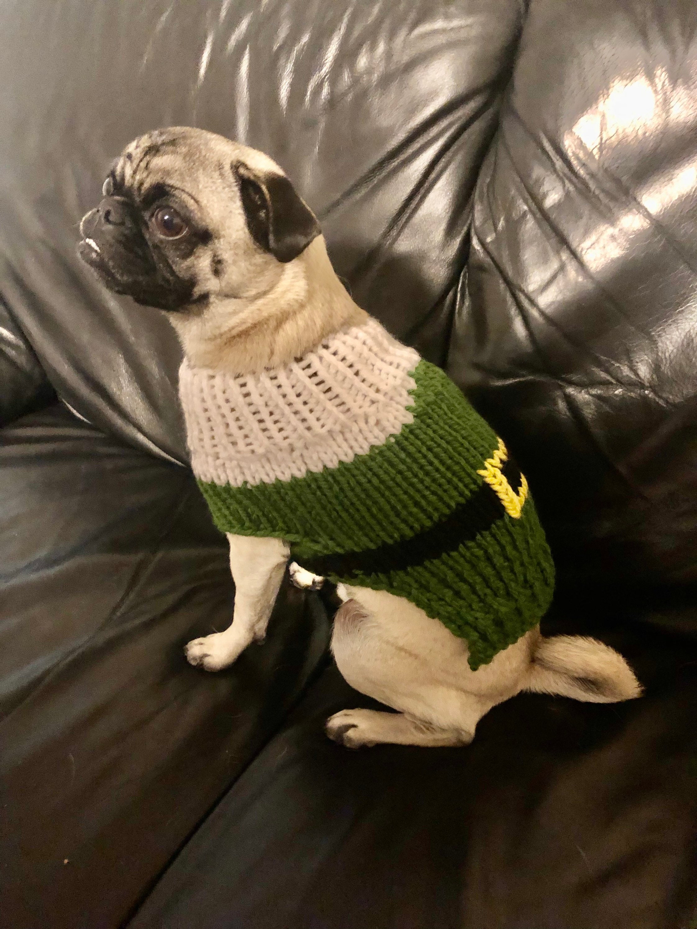 Candy Corn Dog Sweater Etsy Canada