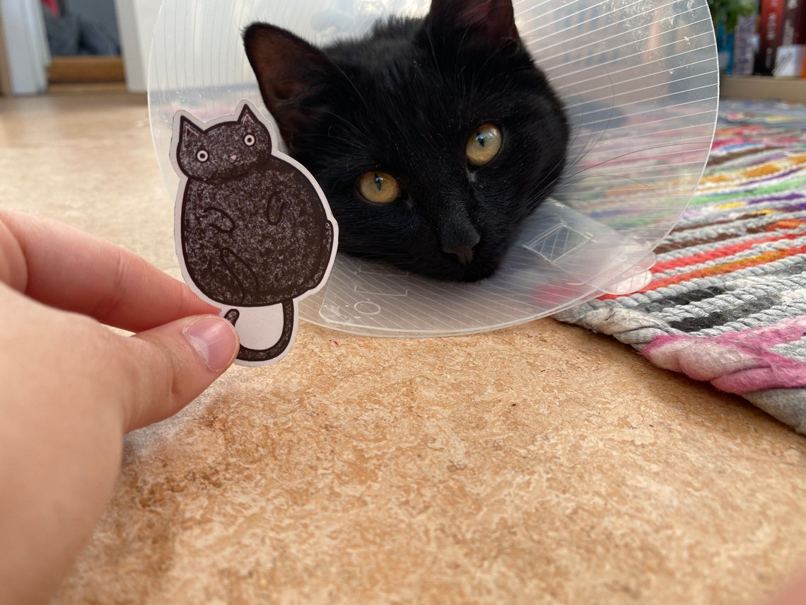 Black Cat Furball Sticker Semiglossy Etsy