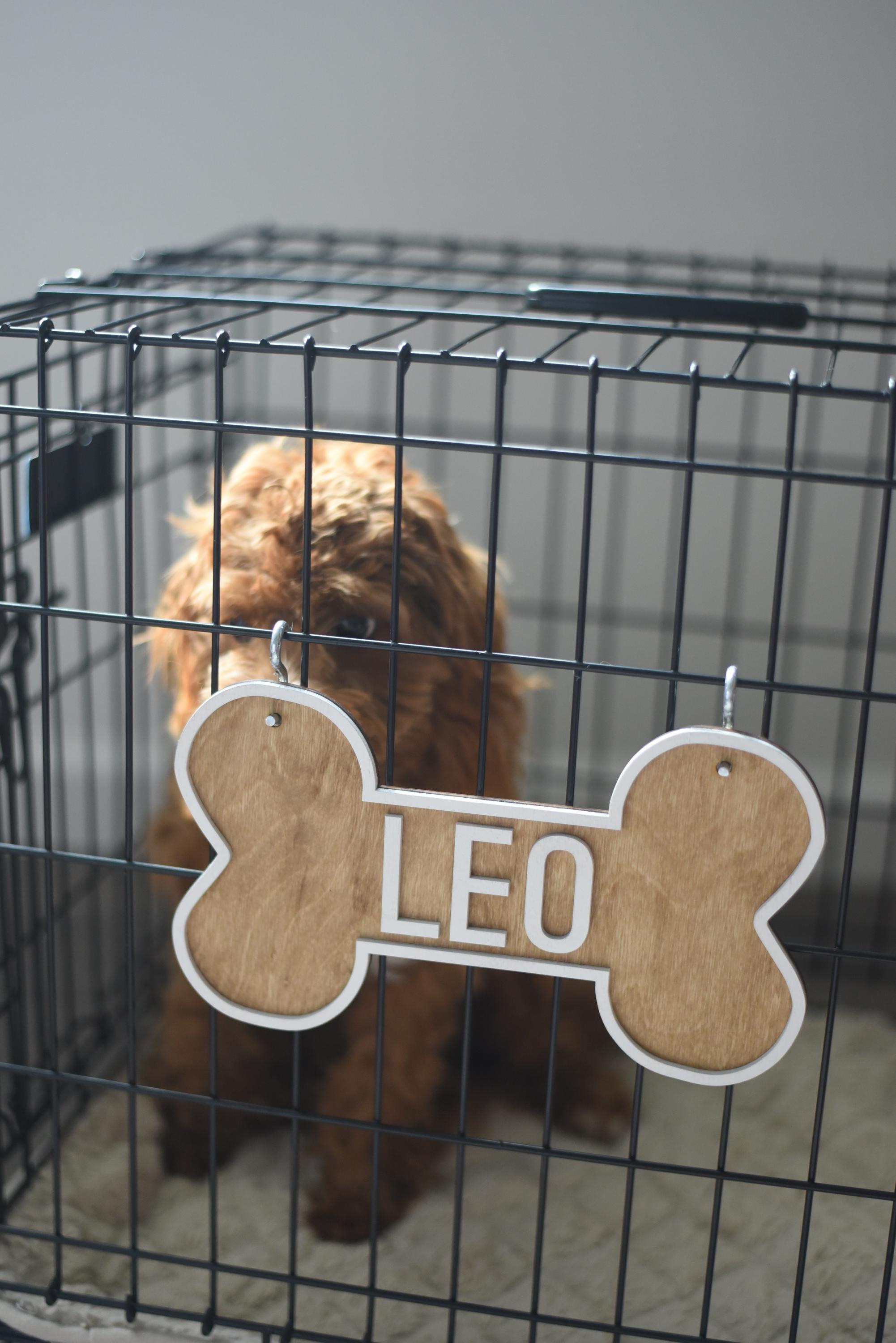 Embroidered Dog Crate Decorations photo
