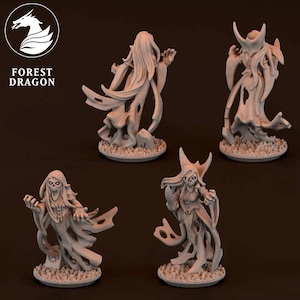 May include: Four detailed, light-colored fantasy miniatures of spectral figures with flowing robes and skeletal features. The figures are posed in dynamic stances, with one figure's mouth open in a scream. The Forest Dragon logo is in the upper left corner.