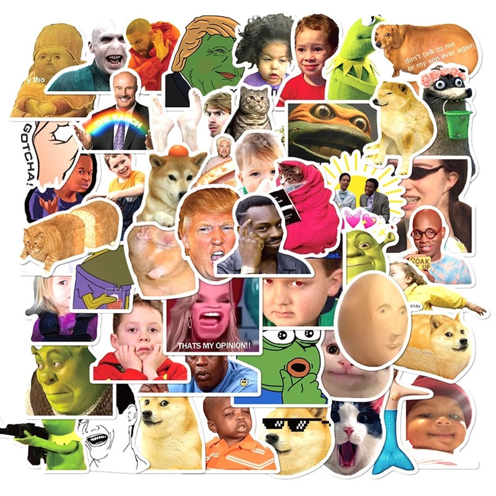 50 Pack of Meme Stickers Etsy
