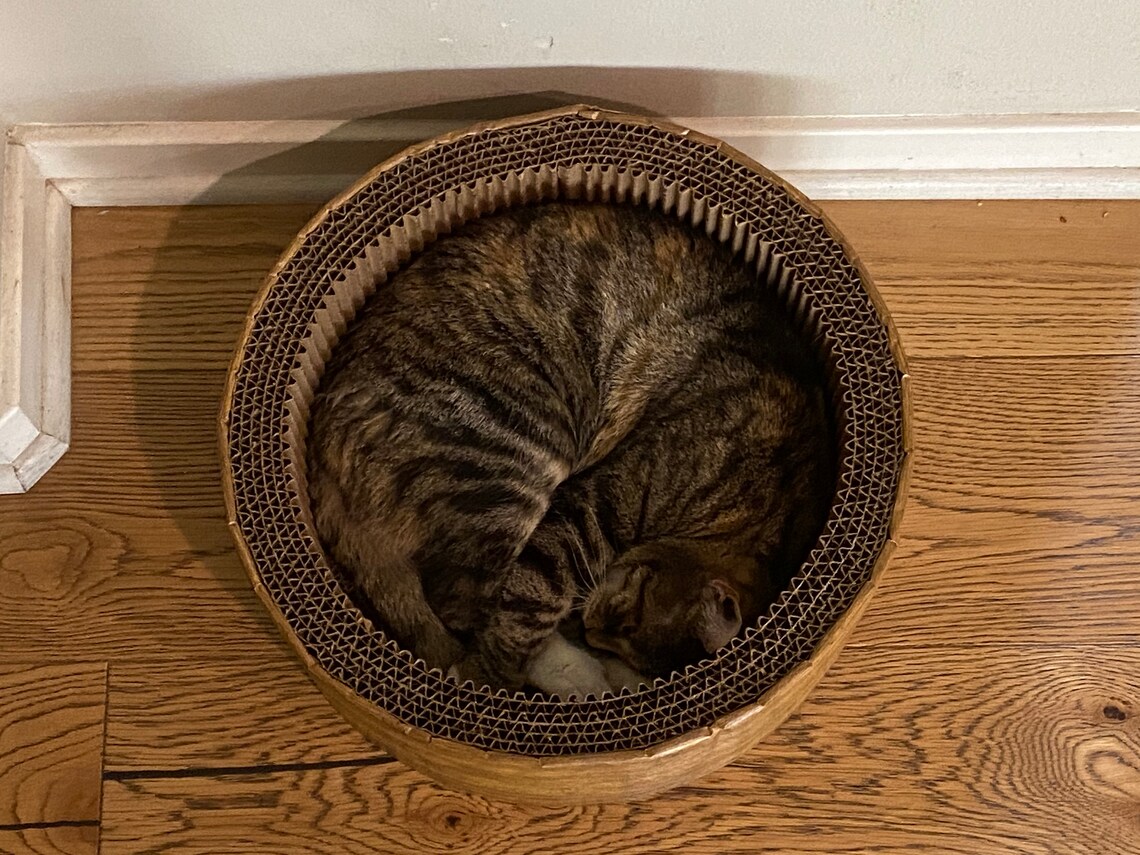 Cozy Cat Scratcher Bed Round Corrugated Cardboard Lounger Etsy