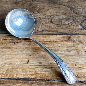 May include: A silver ladle with a round bowl and a long, ornate handle. The handle features a detailed floral pattern. The ladle is made of a shiny, reflective metal. The background is a wooden surface with a rustic appearance.