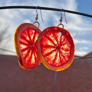 Raspberry Blood Orange Earrings – Dehydrated Fruit, Stained Glass Style