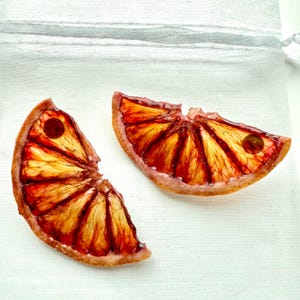 Blood Orange Slice Earrings: Real Dehydrated Fruit Studs