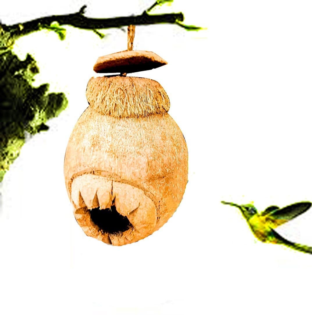 Coconut Pet Bird Nest Hut 100 Natural FREE SHIPPING Etsy