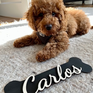 Dogs name tag made of wood, dog bones personalized, desired name image 1