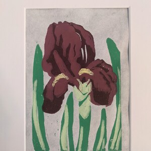 Iris Print
