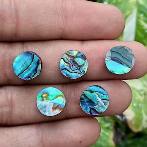 Puede incluir: Cinco cabujones circulares pequeños de concha de abulón con patrones iridiscentes en azul, verde y morado. Cada pieza muestra una textura natural única con remolinos y una superficie pulida y reflectante, destacando el brillo vibrante y multicolor característico del material de concha de abulón genuino.