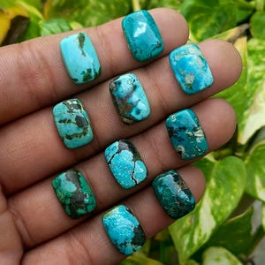 May include: Ten rectangular turquoise gemstones with smooth, polished surfaces. Each stone displays unique natural matrix patterns in shades of sky blue, teal, and deep green, with dark brown and black veining distributed across the individual pieces.