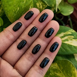 May include: Eight polished, oval-shaped black gemstones are displayed on a hand. The gemstones have a glossy, reflective surface. The background features green and yellow foliage.