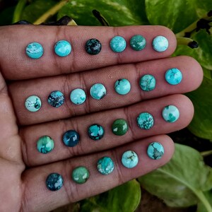 Puede incluir: Una mano muestra una colección de piedras preciosas turquesas. Las piedras varían en tonos de azul y verde, con patrones de vetas únicos. Los cabujones son redondos y pulidos, mostrando variaciones naturales. Las piedras preciosas están dispuestas en filas.
