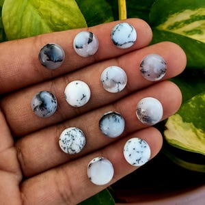 May include: A collection of ten round, white and black dendritic agate cabochons. The cabochons are smooth and polished, with a variety of patterns and shapes.