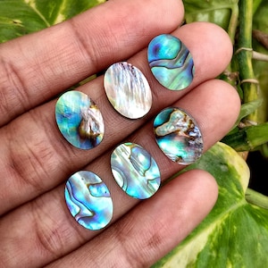 Puede incluir: Seis conchas de abulón ovaladas con patrones iridiscentes azules, verdes y blancos. Las conchas se muestran en una mano, mostrando sus colores y texturas naturales. Adecuado para la fabricación de joyas o proyectos de artesanía.