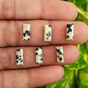 Op de afbeelding: Zes rechthoekige dalmatiërjaspis stenen met een crème basis en zwarte vlekken. De stenen zijn gepolijst en hebben een glad oppervlak. De stenen zijn in een hand gerangschikt.