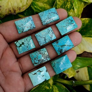 May include: A selection of rectangular turquoise gemstones, each displaying unique dark matrix patterns. The stones exhibit varying shades of blue and green, with visible veining. The gemstones are presented against a backdrop of green leaves.