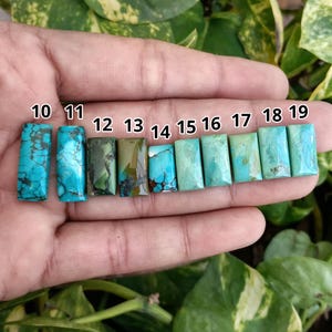 Puede incluir: Una colección de piedras preciosas rectangulares de turquesa, cada una con patrones de vetas únicos y tonos de azul y verde. Las piedras están numeradas del 10 al 19, mostrando variaciones en color y matriz.