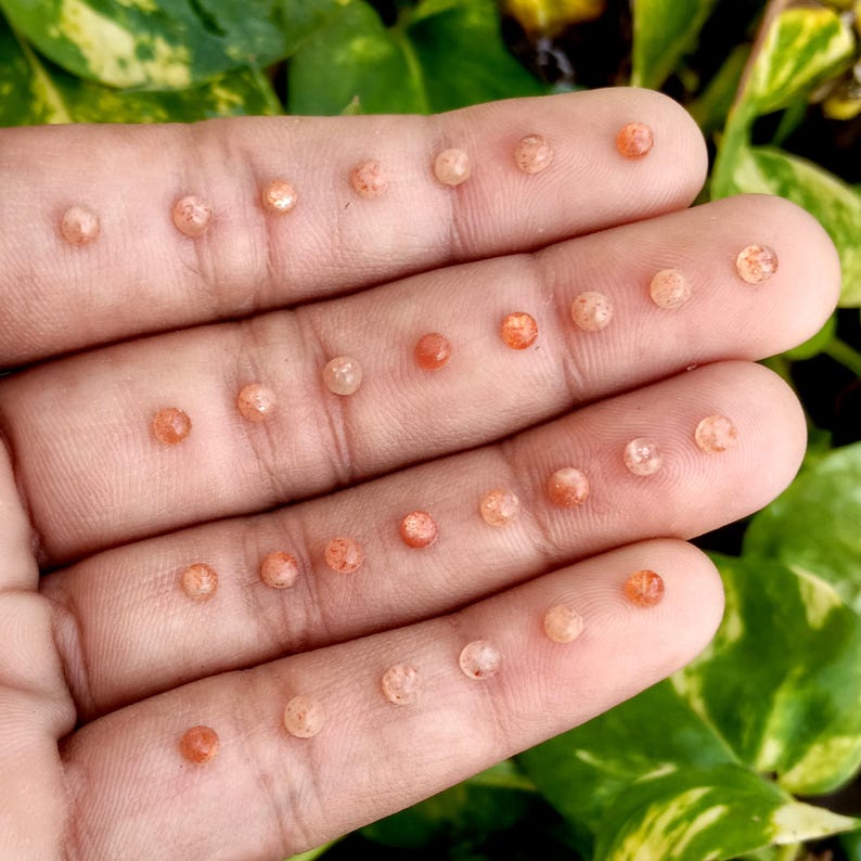 Naturlig solsten 3 MM rund cabochon platt baksida lös ädelsten för smyckestillverkning bild 5