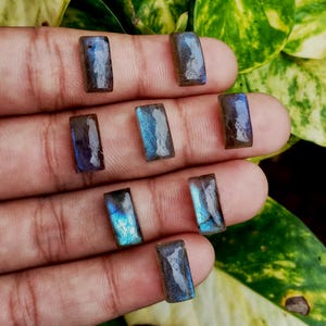 Pode incluir: Uma coleção de pedras preciosas retangulares de labradorita. As pedras exibem uma mistura de tons azuis, verde-azulados e castanhos, com uma qualidade iridescente brilhante. As pedras preciosas são seguradas em uma mão, com folhagem verde ao fundo.