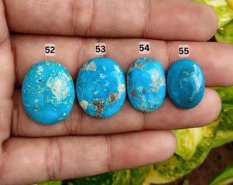 May include: Four oval-shaped turquoise gemstones, numbered 52 through 55, are displayed. The stones vary in size and have a vibrant blue color with brown and tan matrix patterns. The gemstones are held in a hand, with a green and yellow leafy background.
