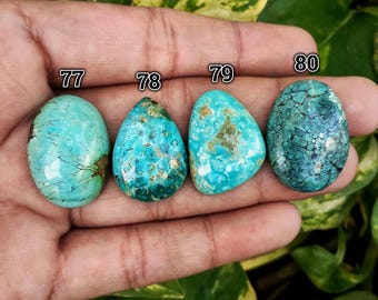 May include: Four turquoise gemstones in varying shapes and shades of blue and green are displayed. Each stone is numbered, with the numbers 77, 78, 79, and 80 visible. The stones are held in a hand, with a blurred green background.