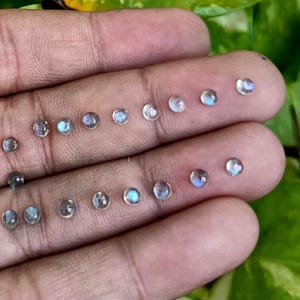 Könnte beinhalten: Eine Sammlung kleiner, runder Mondstein-Edelsteine mit schillernden Farben, darunter Blau und Grau. Die Edelsteine sind auf einer Hand angeordnet, um ihre Größe und Klarheit zu zeigen. Ideal für die Schmuckherstellung. Jeder Stein hat einen Durchmesser von etwa 0,3 cm.