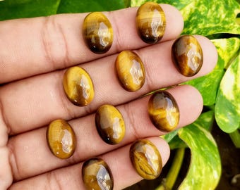 Könnte beinhalten: Eine Sammlung von elf oval geformten Tigeraugen-Edelsteinen. Die polierten Steine zeigen eine Mischung aus goldbraunen und dunkelbraunen Farbtönen mit einem Chatoyanz-Effekt. Die Edelsteine werden in einer Hand gehalten, mit grünem Laub im Hintergrund.