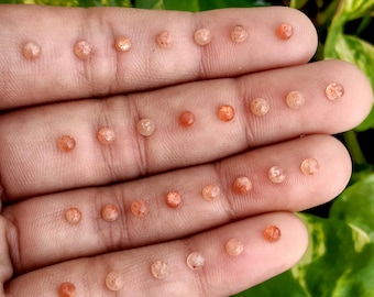 Natural Sunstone 3MM Round Cabochon Flat Back Loose Gemstone For Jewelry Making