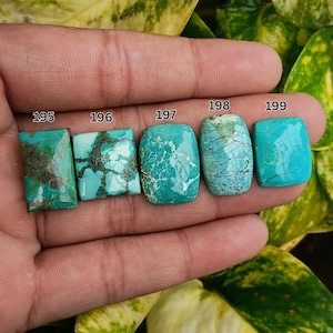 Könnte beinhalten: Fünf Türkis-Edelsteine mit unterschiedlichen Formen und Mustern werden gezeigt. Die Steine variieren in der Farbe von hell bis tief Türkis, mit dunklen Matrixeinschlüssen. Jeder Stein ist nummeriert und zeigt die einzigartigen Eigenschaften von Naturtürkis.