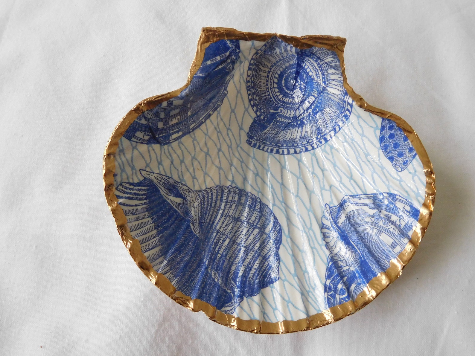 Seashell Decoupage Sea Creatures Etsy