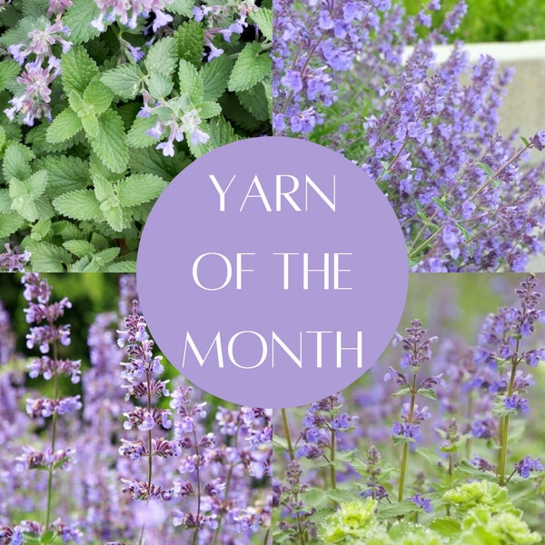 Yarn of the Month - May - Catnip - Hand Dyed Yarn