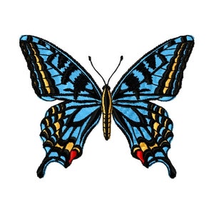 May include: A detailed illustration of a butterfly with symmetrical wings. The wings are primarily light blue with black and yellow patterns, and small red accents. The butterfly has a black body and antennae, set against a white background.