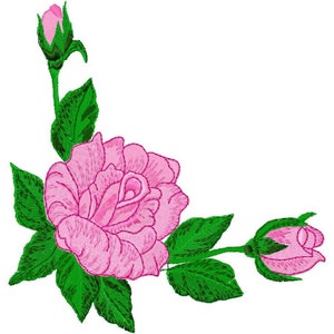 May include: A pink rose with green leaves and buds. The rose is in bloom and has a delicate, feminine look.