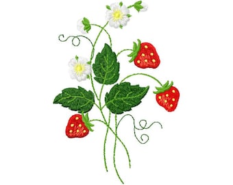 Strawberry Machine Embroidery Design, Strawberry Bouquet, Strawberry Embroidery, Summer Digital Embroidery Design