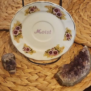 Moist (6 inch) Decorative Floral Funny Plate