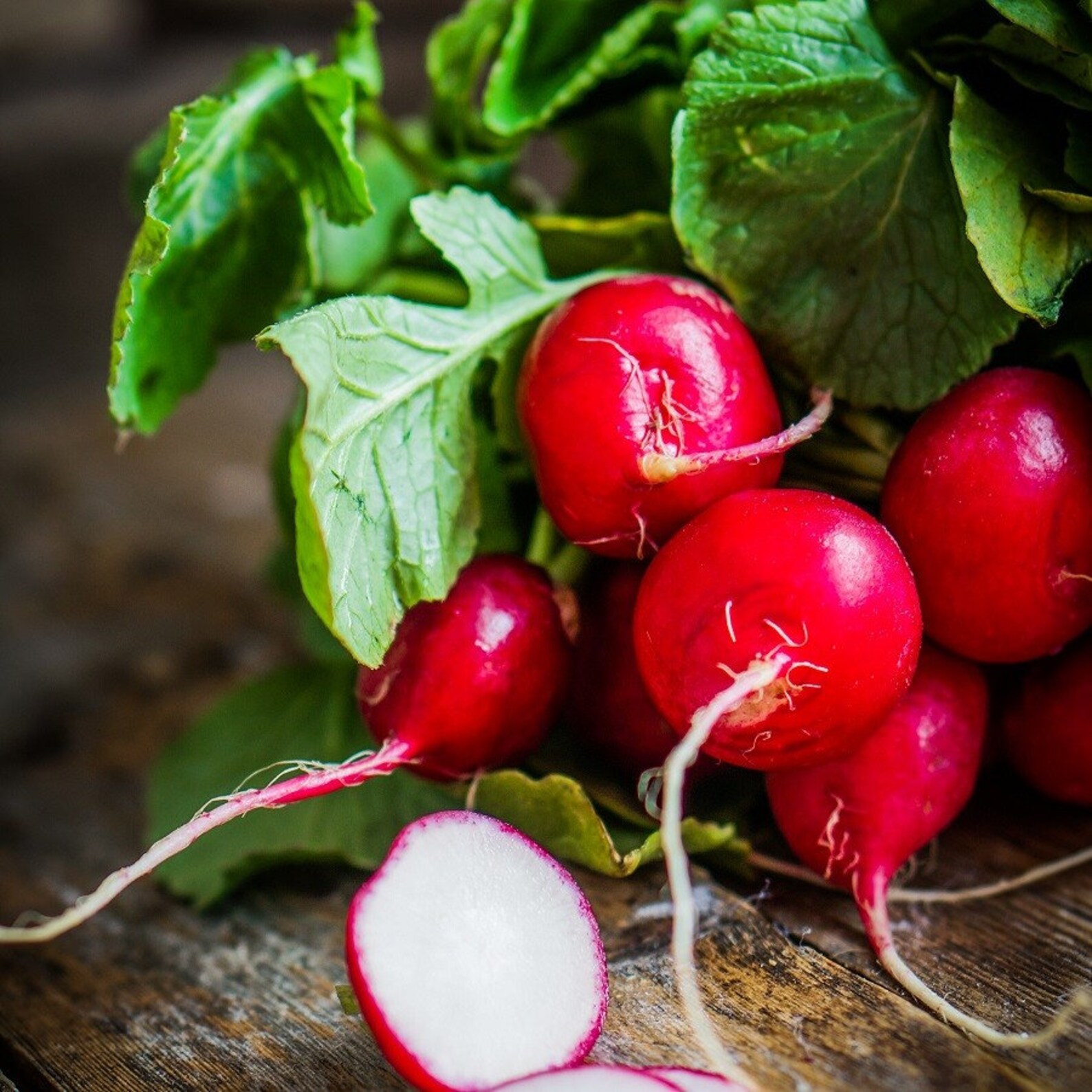 Early Scarlet Globe Radish Seeds Packet Fresh Garden Etsy