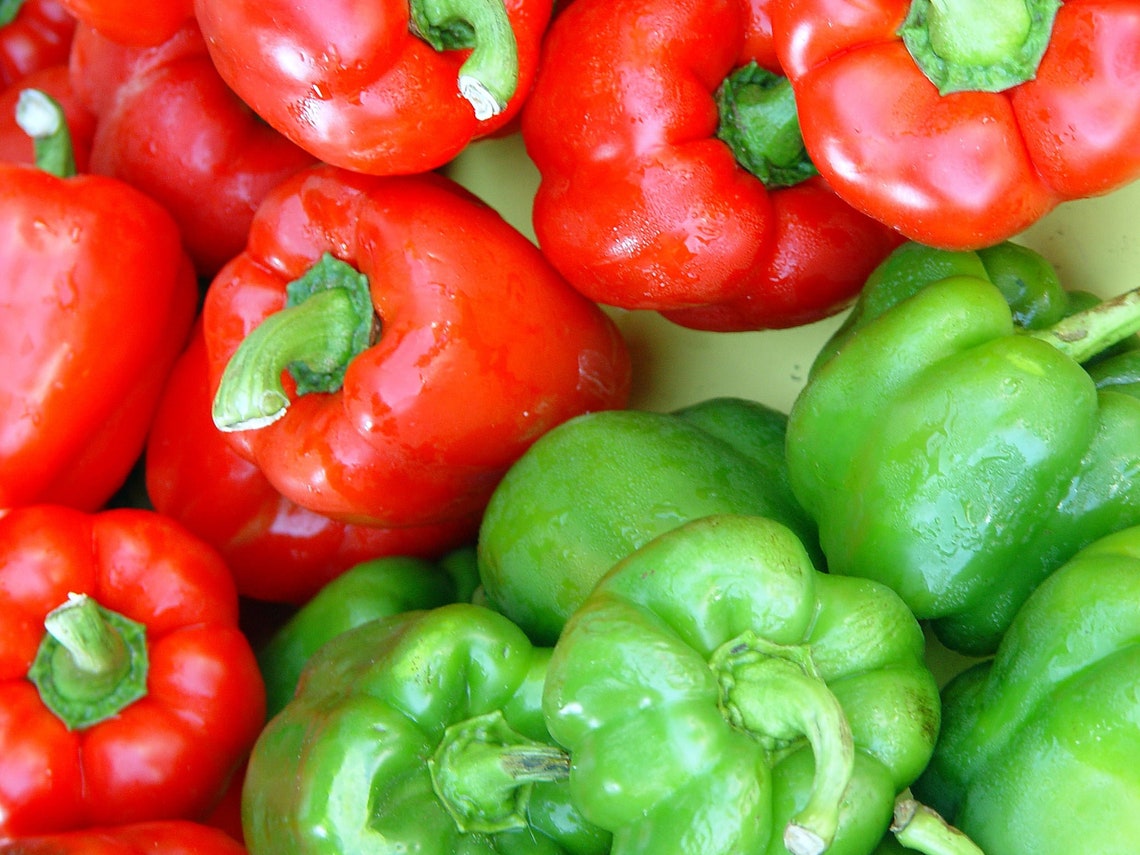 Sweet Red Bell Pepper Seeds Packet Fresh Garden Vegetable Etsy