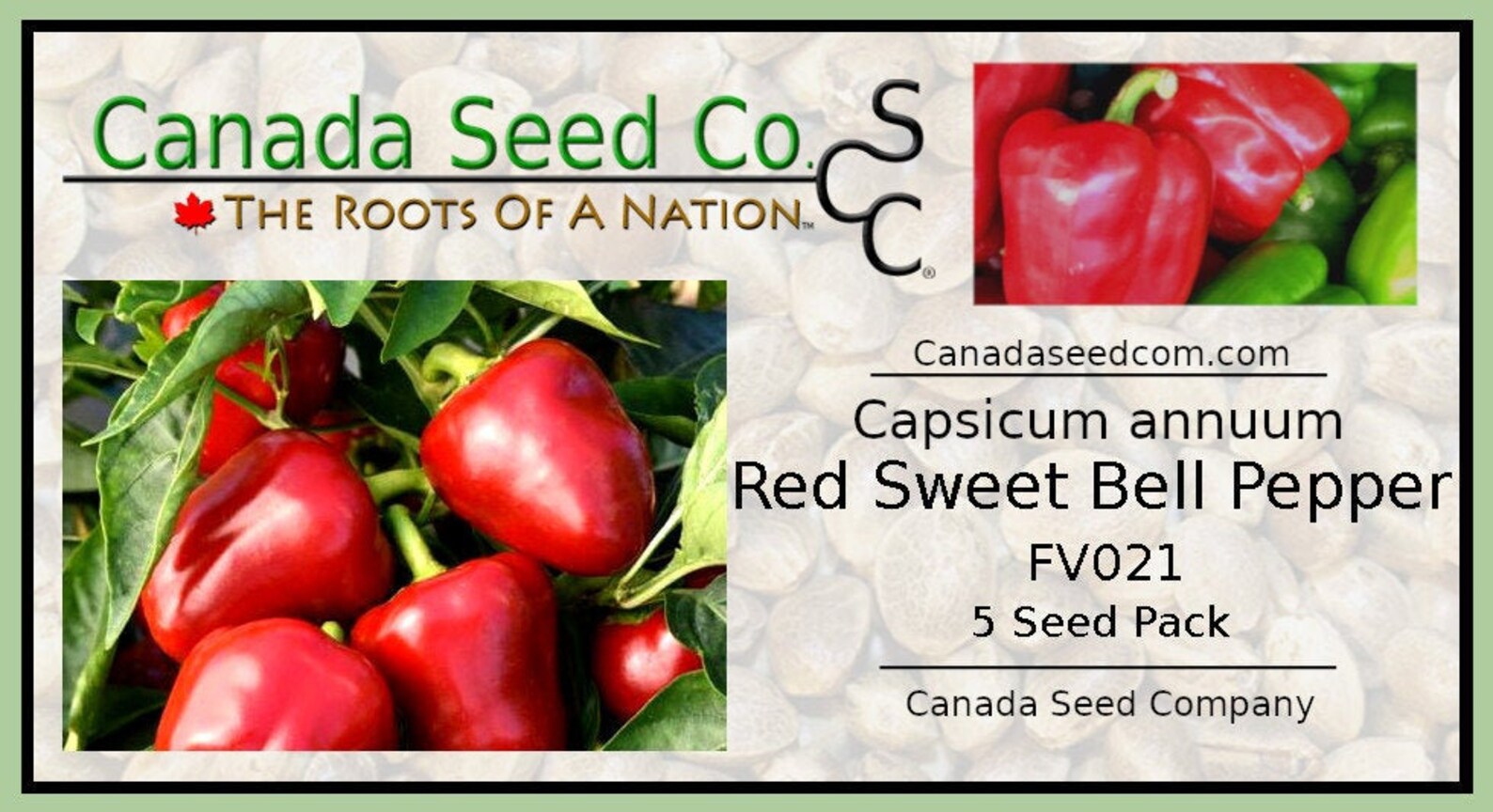 Sweet Red Bell Pepper Seeds Packet Fresh Garden Vegetable Etsy
