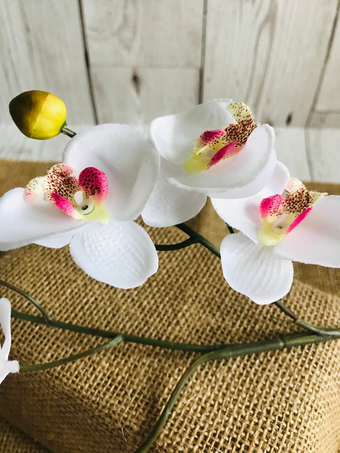 Artificial Orchid StemsCream & White Flowers Country Garden Etsy
