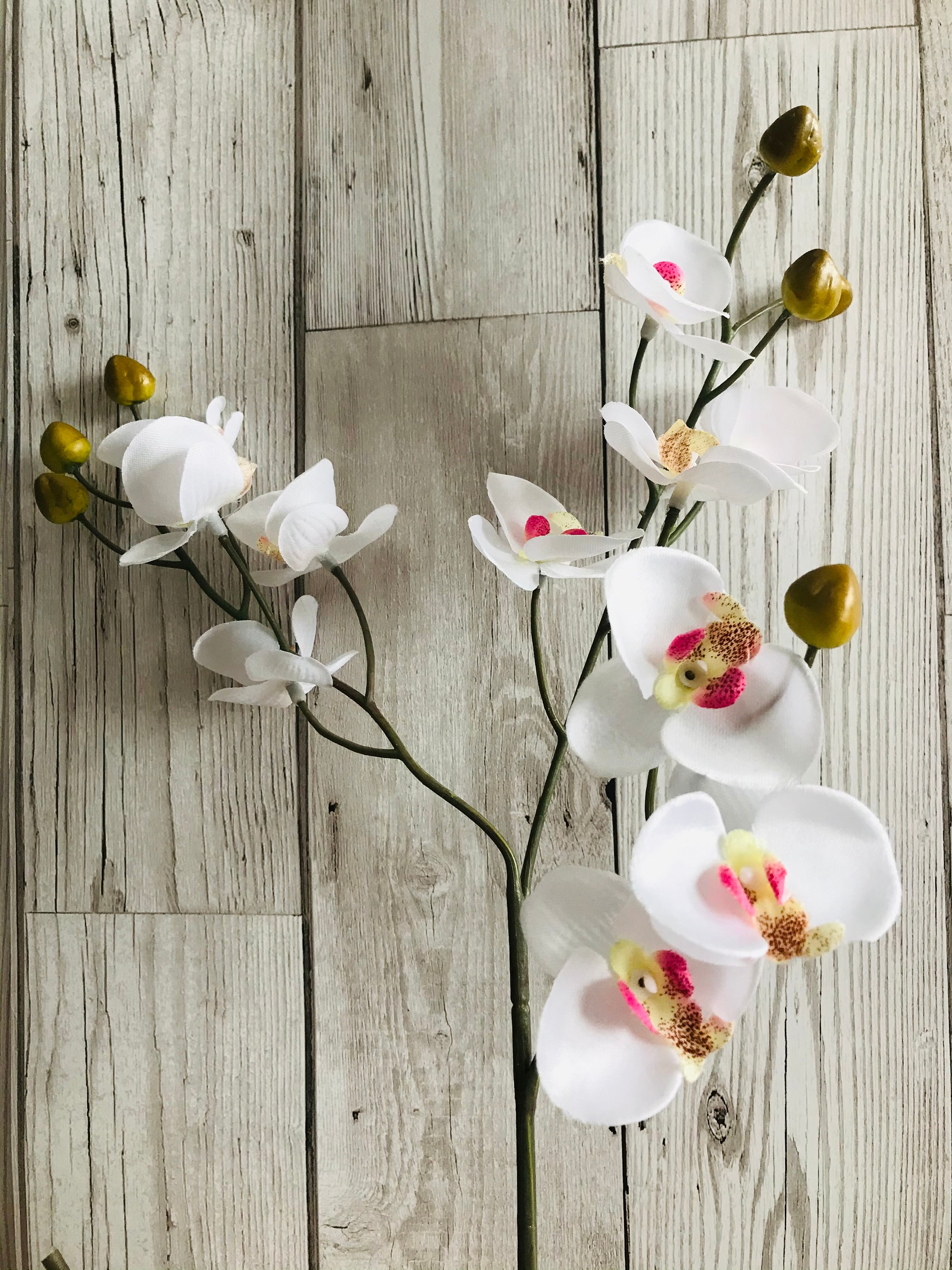 Artificial Orchid StemsCream & White Flowers Country Garden Etsy