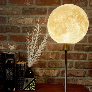 May include: A spherical moon-shaped table lamp with a brass base and stem. The lamp is set against a brick wall and a wooden surface. The scene includes books and a vase, creating a warm ambiance.