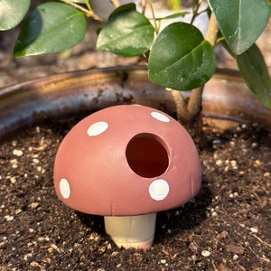 May include: A brown ceramic mushroom with white polka dots and a hole in the top. The mushroom is sitting in a pot of soil.