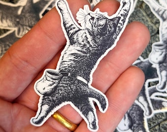 Rock Climbing Kitty Cat - Boulder Cat - Funny Sticker