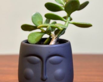 Sleeping Stone Face Planter Pot Indoor Outdoor Plant