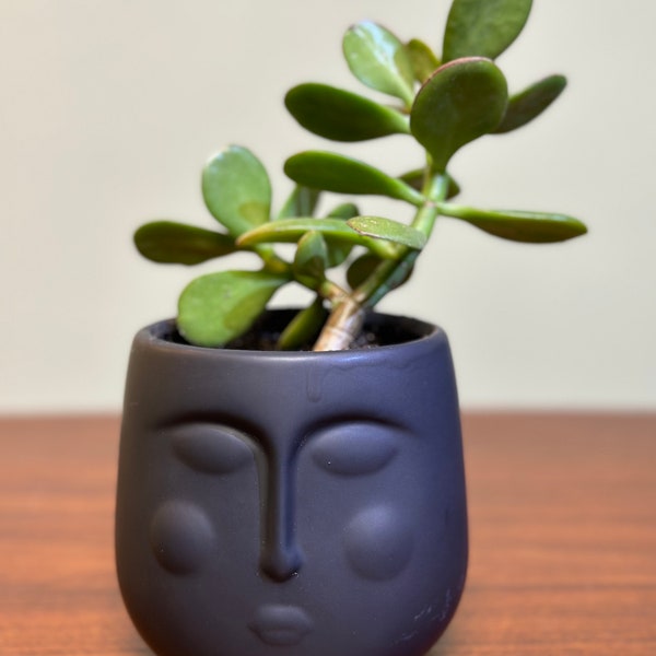 Sleeping Stone Face Planter Pot Indoor Outdoor Plant