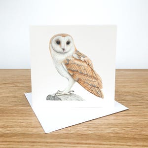 May include: A square greeting card with a detailed illustration of a barn owl. The owl has white and brown feathers and is perched on a grey rock. The card sits on a white envelope, against a wooden surface.