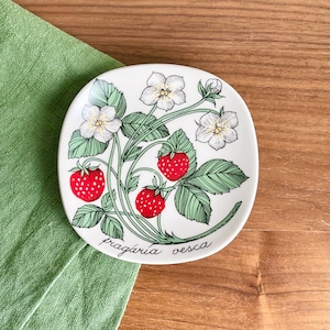 Puede incluir: Plato de cerámica blanco con un diseño floral con fresas y flores. El plato tiene el texto "fragaria vesca" escrito en la parte inferior.