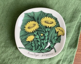 Arabië Finland Esteri Tomula BOTANICA Tussilago farfara (Leskenlehti, naaldhout) wandbord